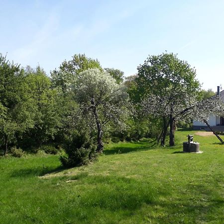 Happiness Country Retreat Vila Bubel Exterior foto